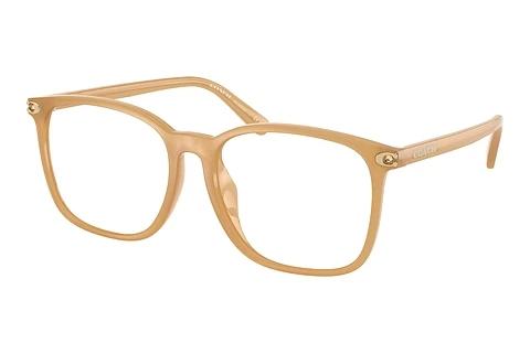 Glasses Coach HC6254BD 5854