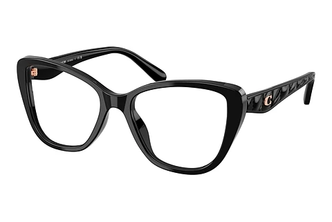 Glasses Coach HC6255U 5002