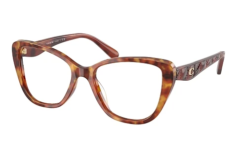 Glasses Coach HC6255U 5774