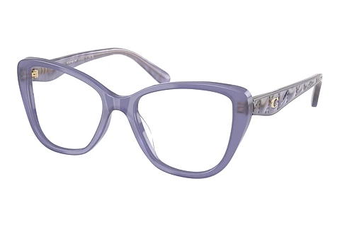 Glasses Coach HC6255U 5864