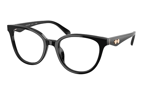Glasses Coach HC6259U 5002