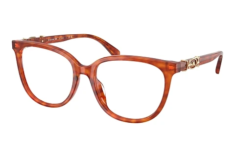 Glasses Coach HC6260U 5774