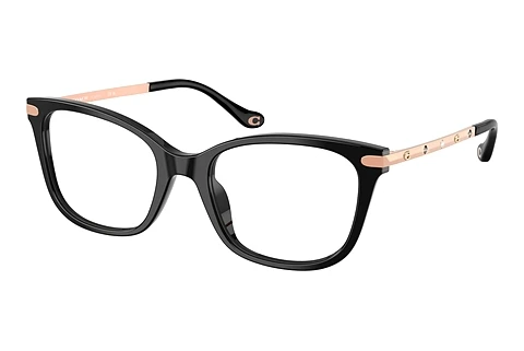 Glasses Coach HC6261BU 5002