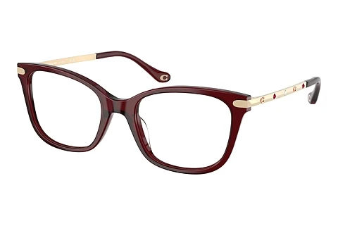 Glasses Coach HC6261BU 5393