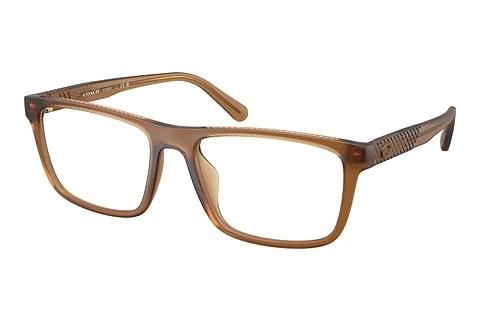 Glasses Coach HC6263U 5876