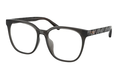 Glasses Coach HC6267D 5897