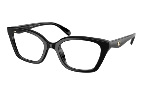 Glasses Coach HC6270U 5002