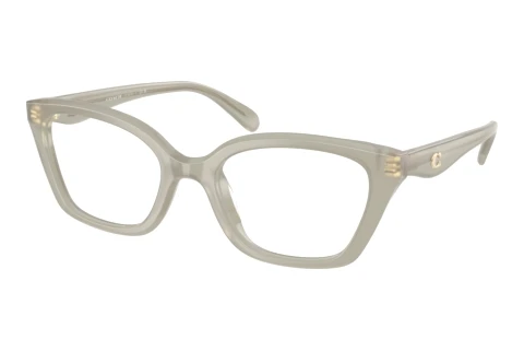 Glasses Coach HC6270U 5905