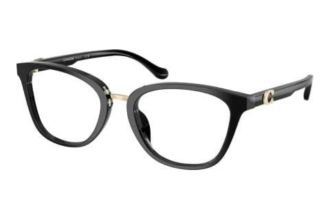 Glasses Coach HC6272U 5002
