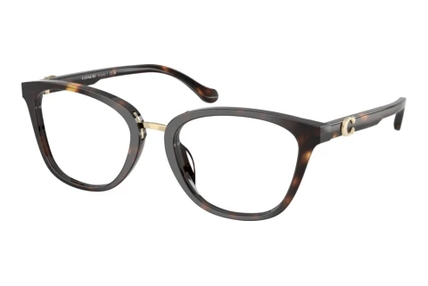 Glasses Coach HC6272U 5120