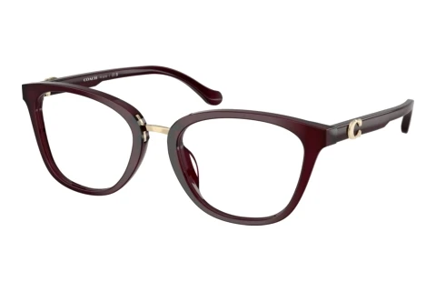 Glasses Coach HC6272U 5915