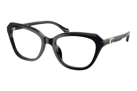 Glasses Coach HC6273U 5002