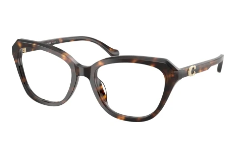 Glasses Coach HC6273U 5120