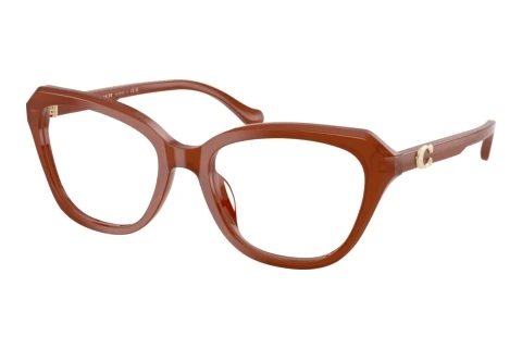 Glasses Coach HC6273U 5841