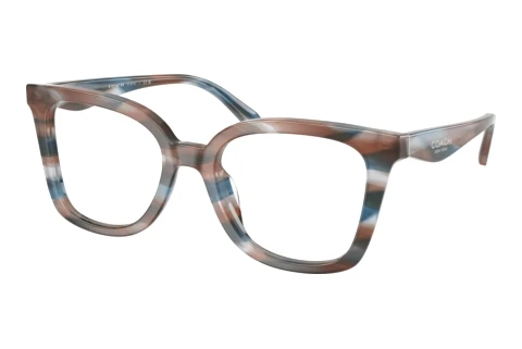 Glasses Coach HC6274U 5899