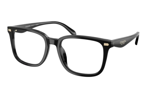 Glasses Coach HC6276U 5002
