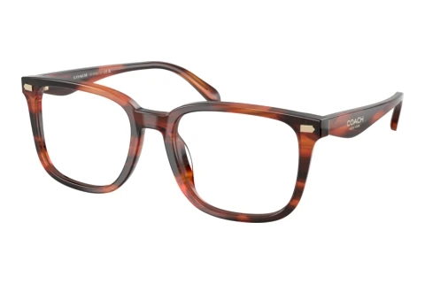 Glasses Coach HC6276U 5906