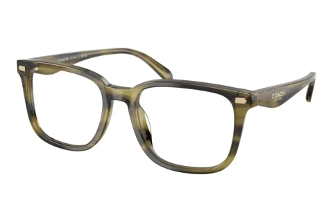 Glasses Coach HC6276U 5907