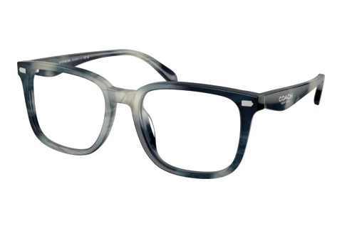 Glasses Coach HC6276U 5909
