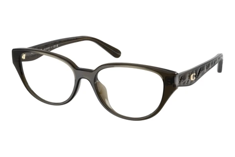 Glasses Coach HC6279D 5400