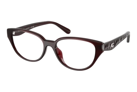 Glasses Coach HC6279D 5915