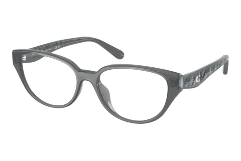 Glasses Coach HC6279D 5918