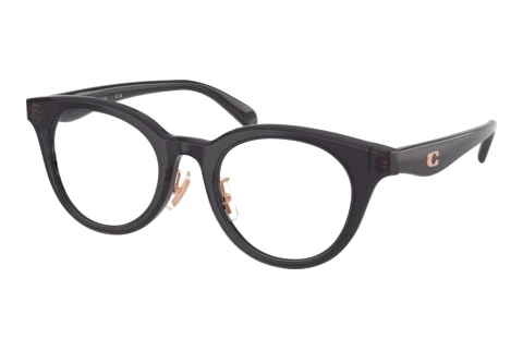 Glasses Coach HC6280D 5104