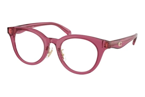 Glasses Coach HC6280D 5824