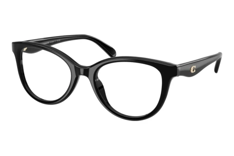Glasses Coach HC6284U 5002