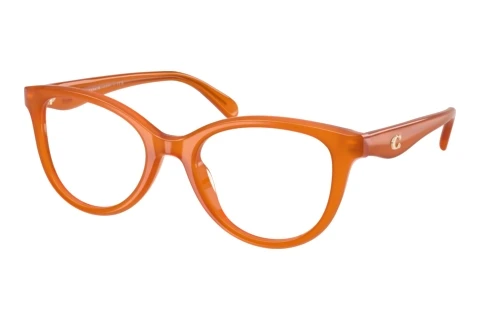 Glasses Coach HC6284U 5930