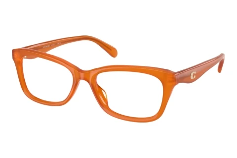 Glasses Coach HC6285U 5930