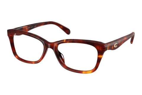 Glasses Coach HC6285U 5938