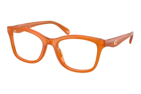 Glasses Coach HC6286U 5930