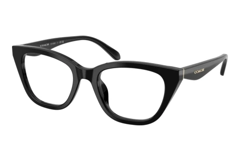 Glasses Coach HC6289U 5002