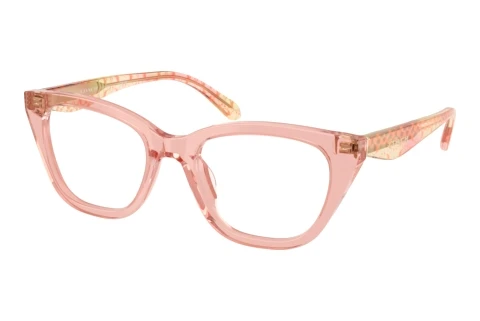 Glasses Coach HC6289U 5943