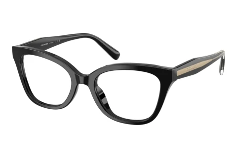 Glasses Coach HC6290U 5002