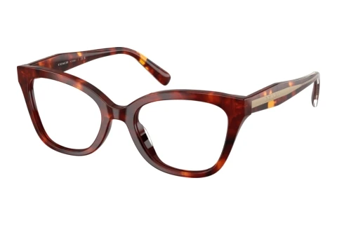 Glasses Coach HC6290U 5938