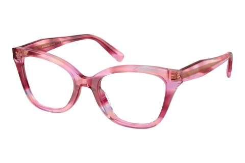 Glasses Coach HC6290U 5941