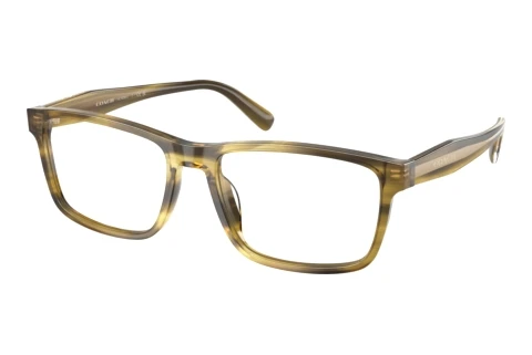 Glasses Coach HC6292U 5945