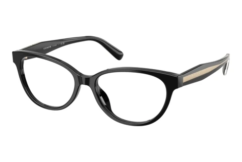 Glasses Coach HC6293U 5002