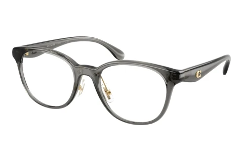 Glasses Coach HC6294D 5104