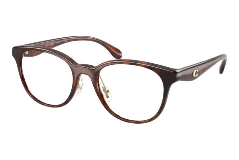 Glasses Coach HC6294D 5120
