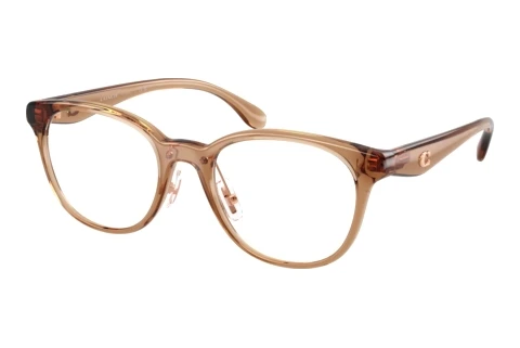 Glasses Coach HC6294D 5948