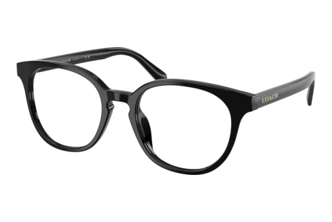 Glasses Coach HC6301U 5002