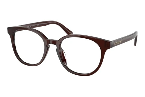 Glasses Coach HC6301U 5968