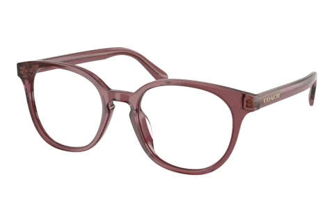 Glasses Coach HC6301U 5969