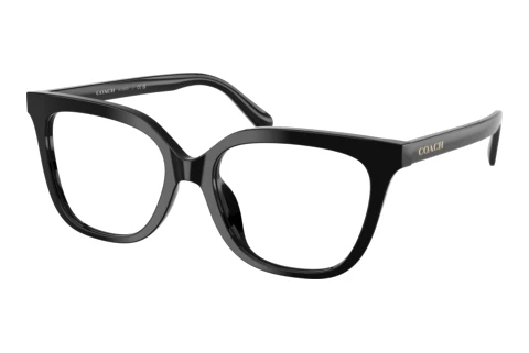 Glasses Coach HC6302U 5002