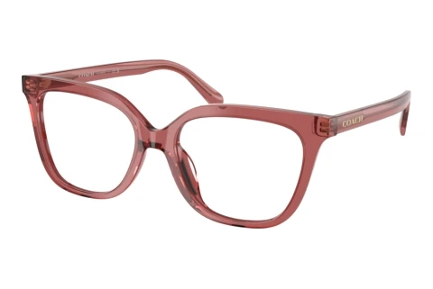 Glasses Coach HC6302U 5961