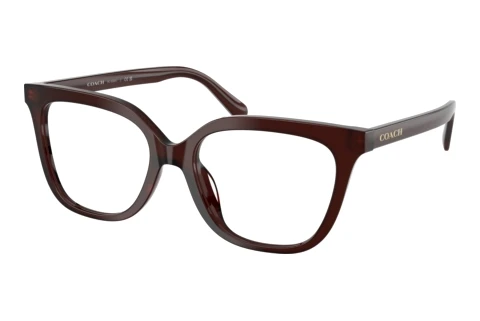 Glasses Coach HC6302U 5968