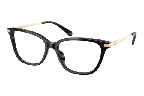 Glasses Coach HC6303U 5002